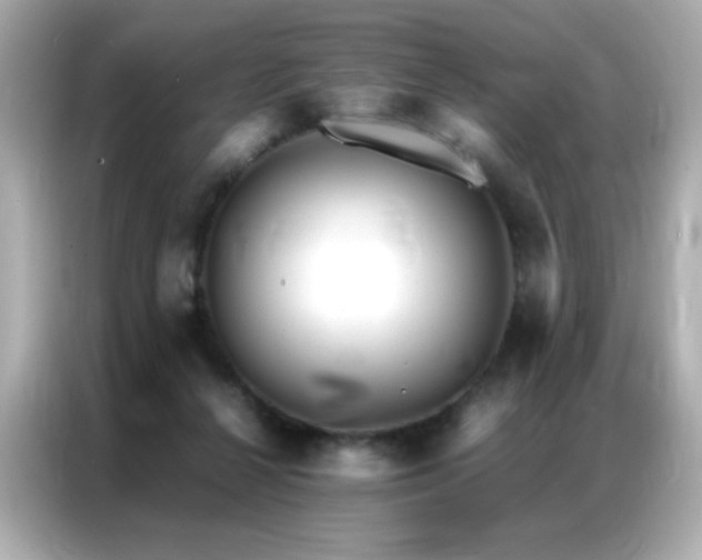 X0000087060264200704181304