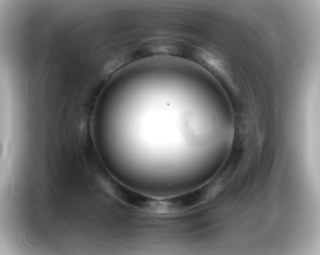 X0000087060265200704181304