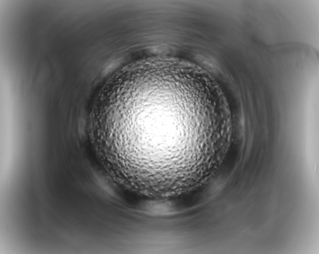 X0000087060266200704181304