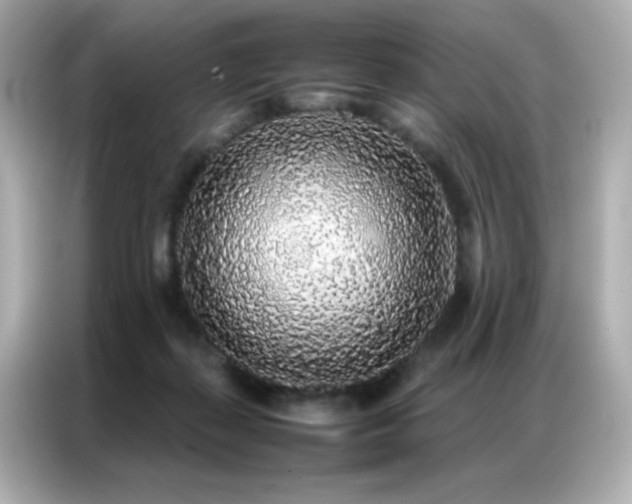 X0000087060267200704181304