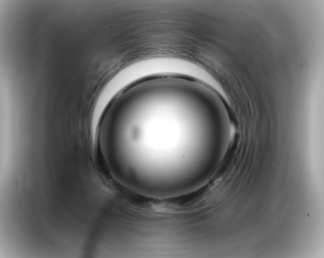 X0000087060268200704181304