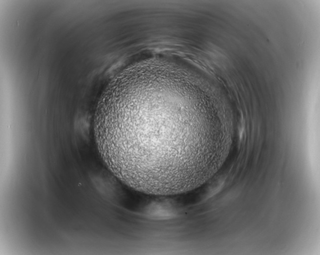 X0000087060271200704181304