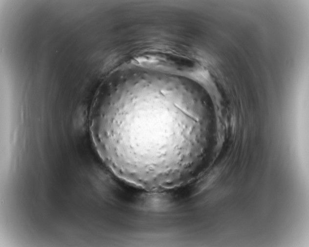 X0000087060273200704181304