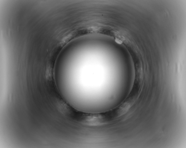 X0000087060274200704181304