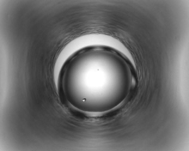 X0000087060276200704181304