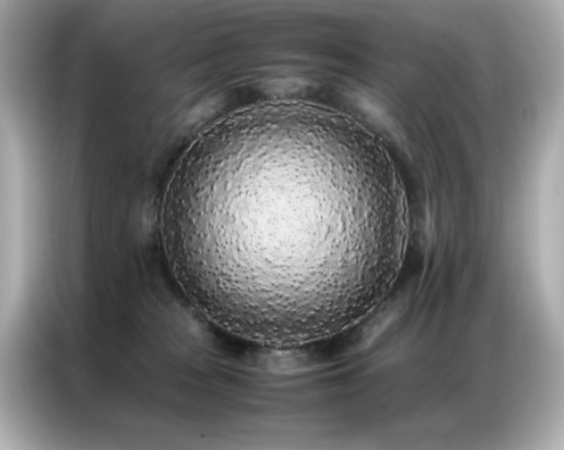 X0000087060277200704181304