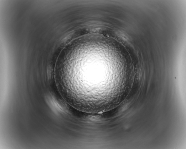 X0000087060283200704181305