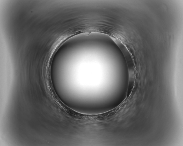 X0000087060289200704181304