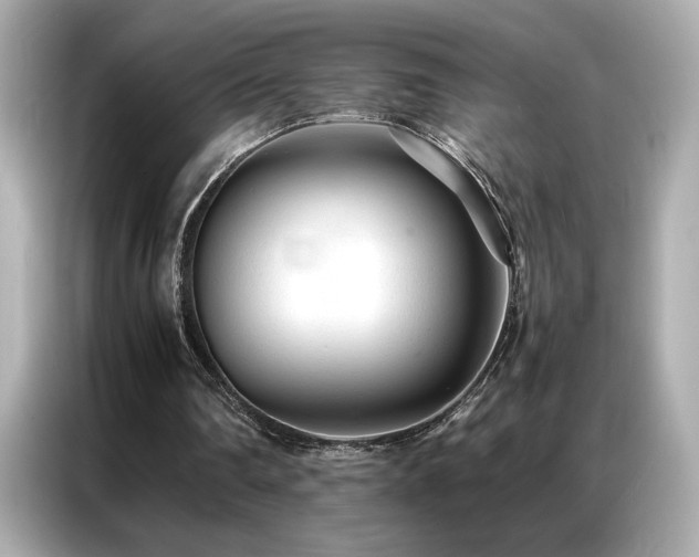 X0000087060290200704181304