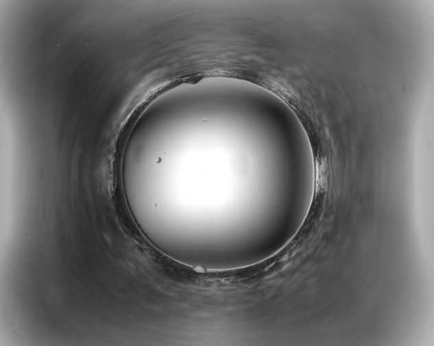 X0000087060291200704181304