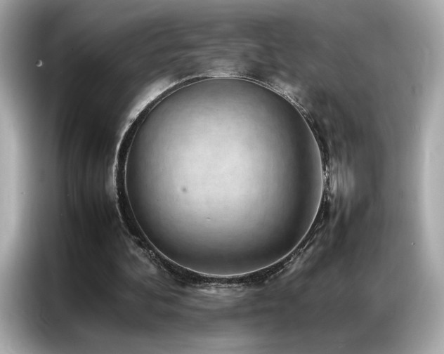 X0000087060292200704181304