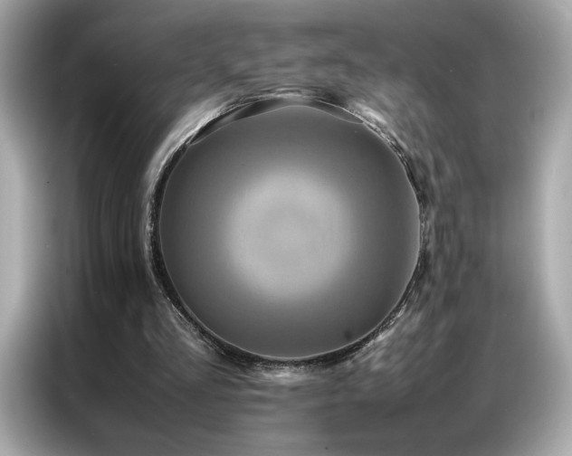 X0000087060293200704181304