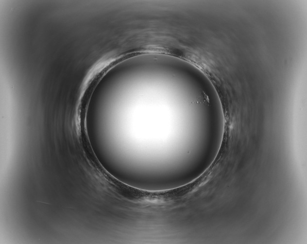 X0000087060294200704181304