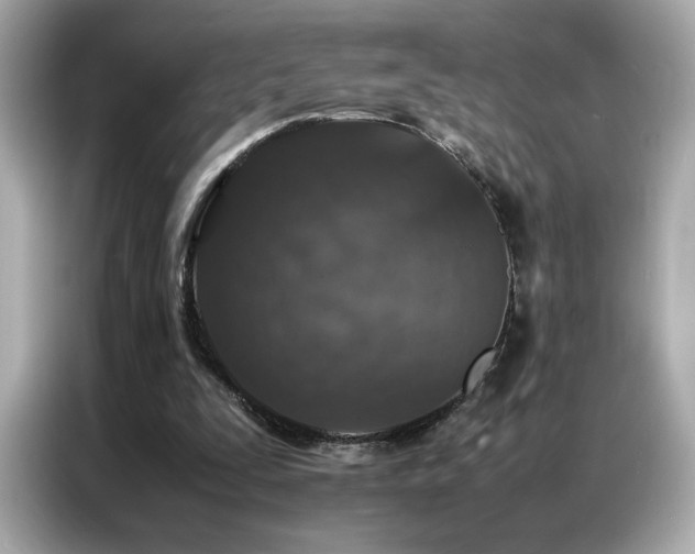 X0000087060295200704181304