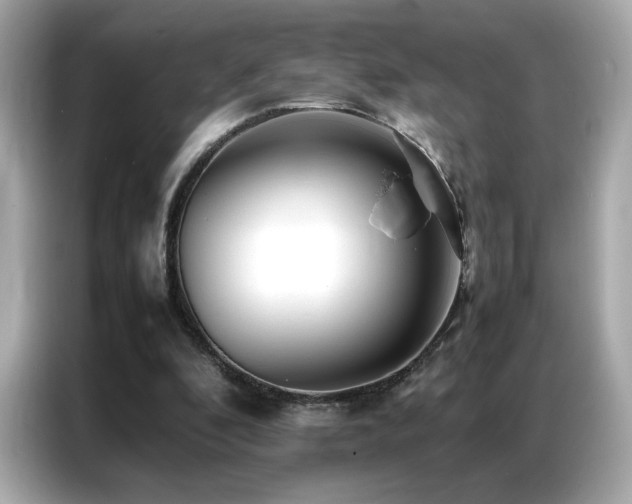 X0000087060296200704181304