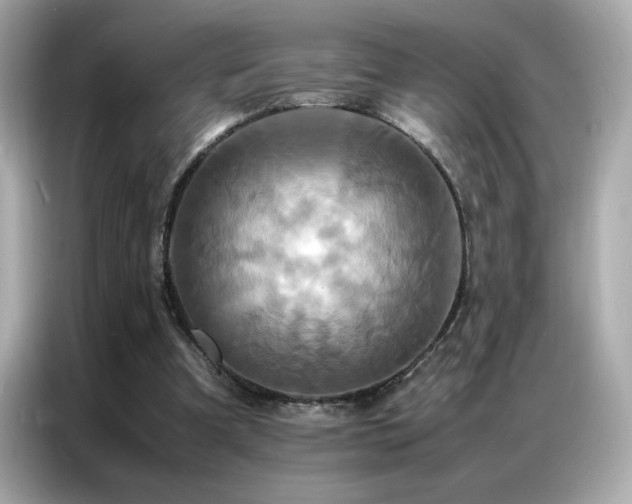 X0000087060297200704181304