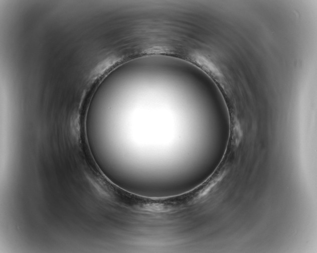 X0000087060298200704181304