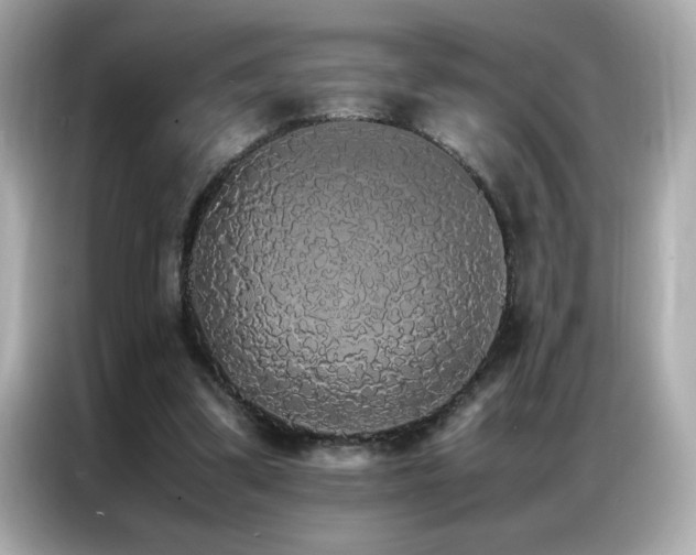 X0000087060299200704181304