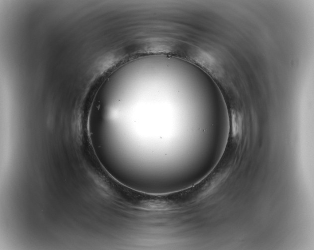 X0000087060300200704181304