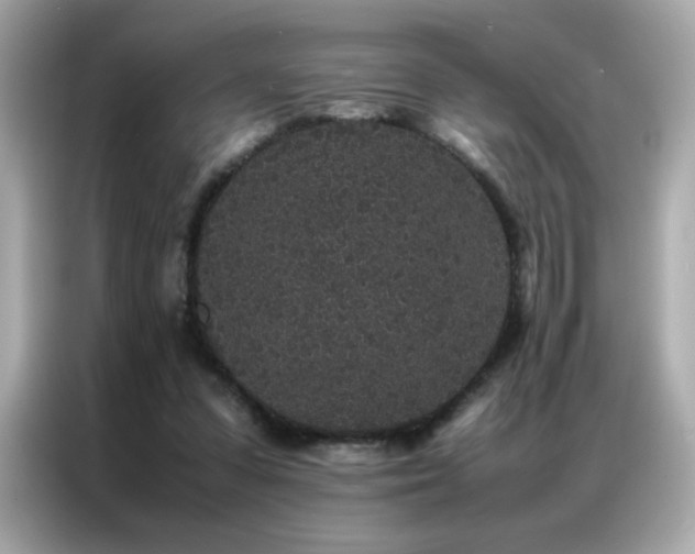 X0000087060303200704181304