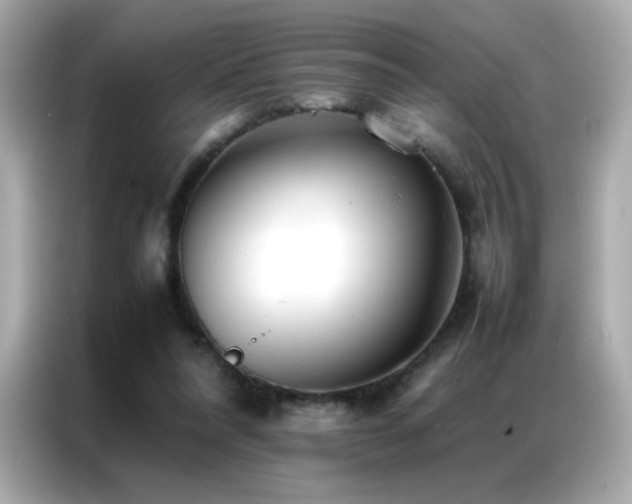 X0000087060304200704181304