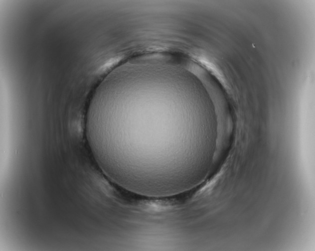 X0000087060305200704181304