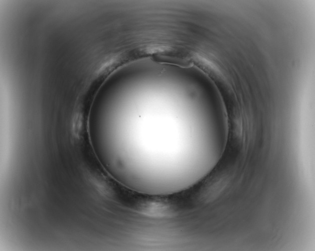 X0000087060308200704181304