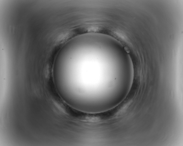 X0000087060311200704181304