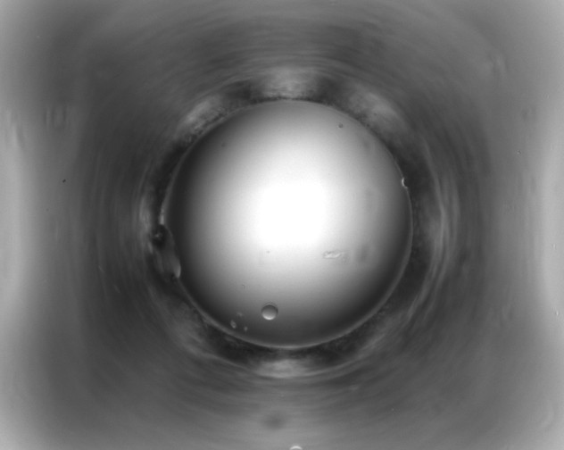 X0000087060312200704181304