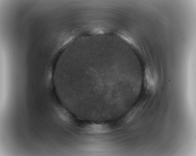 X0000087060314200704181304