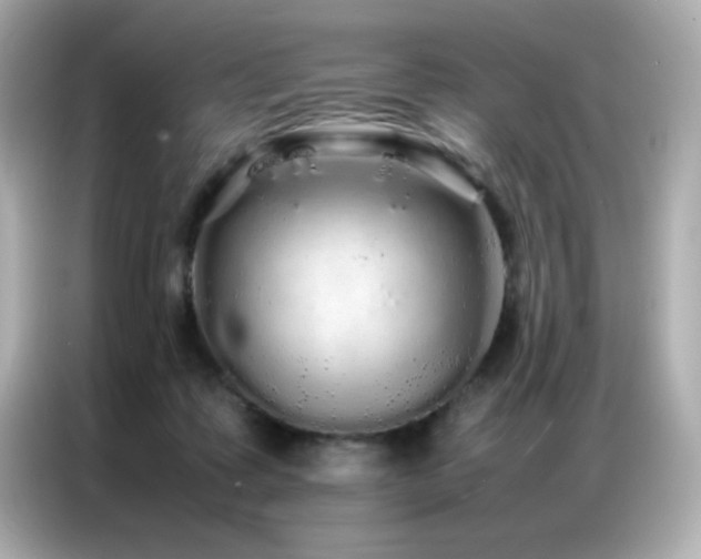 X0000087060315200704181304