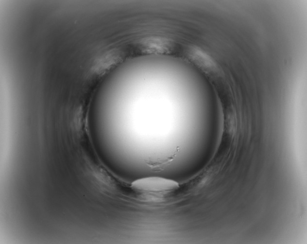 X0000087060318200704181304