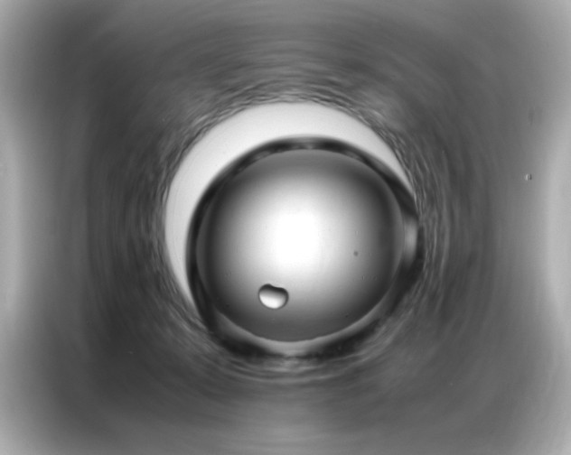 X0000087060319200704181304