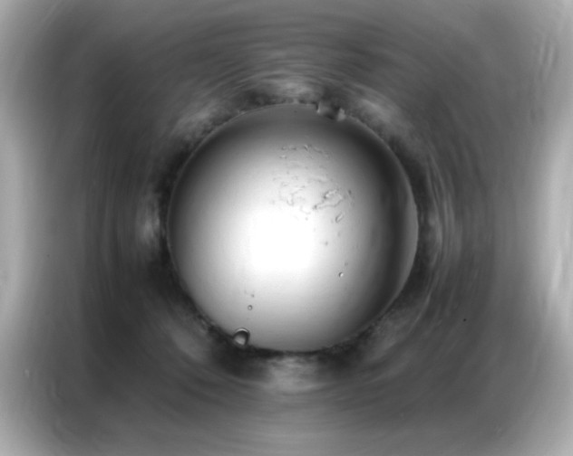 X0000087060320200704181304