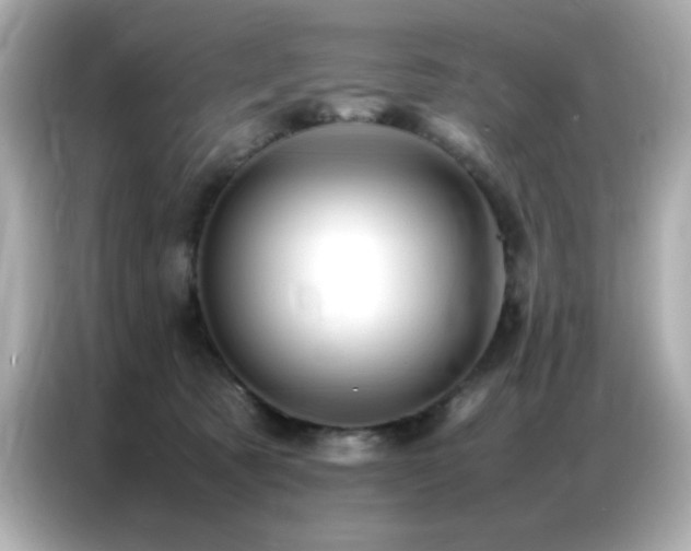 X0000087060321200704181304