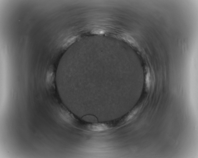 X0000087060322200704181304