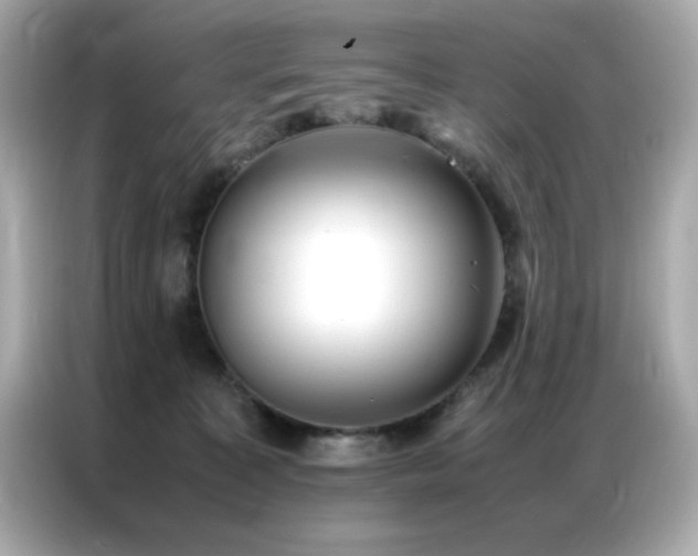 X0000087060323200704181303