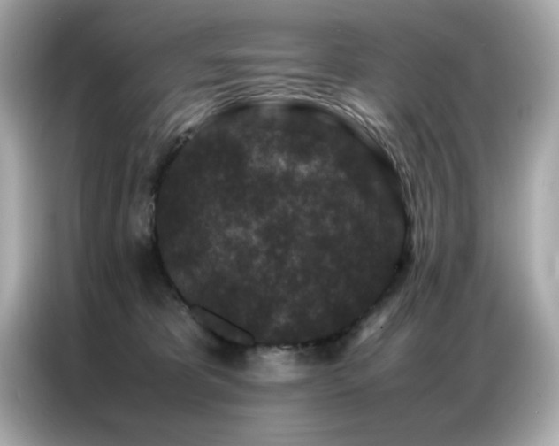 X0000087060325200704181303