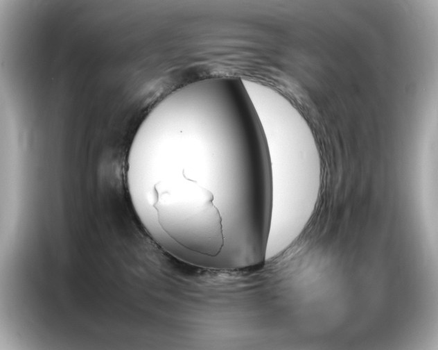 X0000087060329200704181303