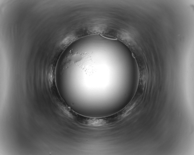 X0000087060334200704181303