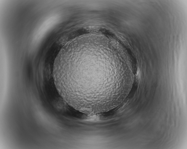 X0000087060335200704181303