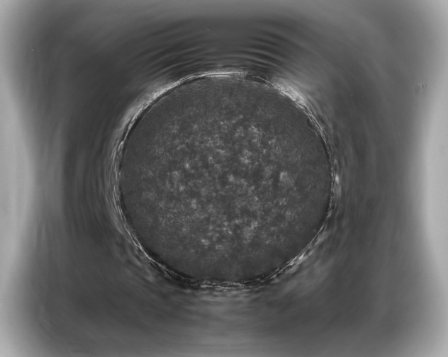 X0000087060337200704181303