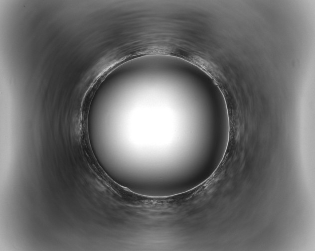 X0000087060338200704181303