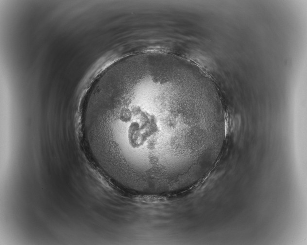 X0000087060339200704181303