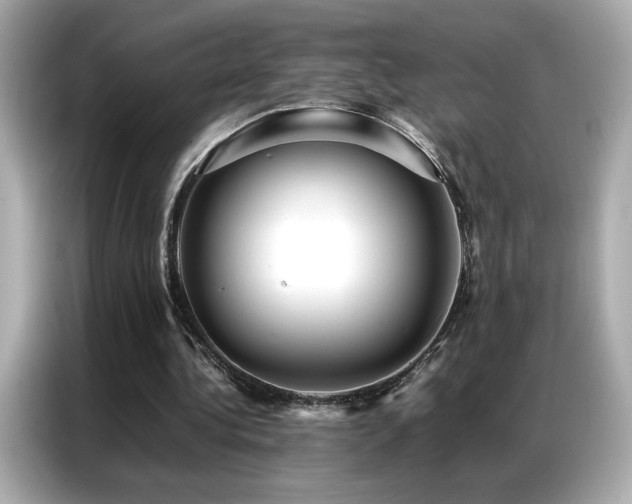 X0000087060340200704181303