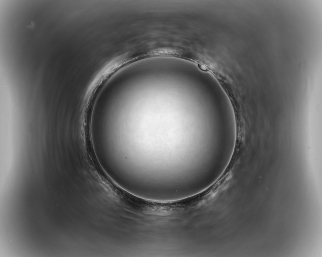 X0000087060341200704181303