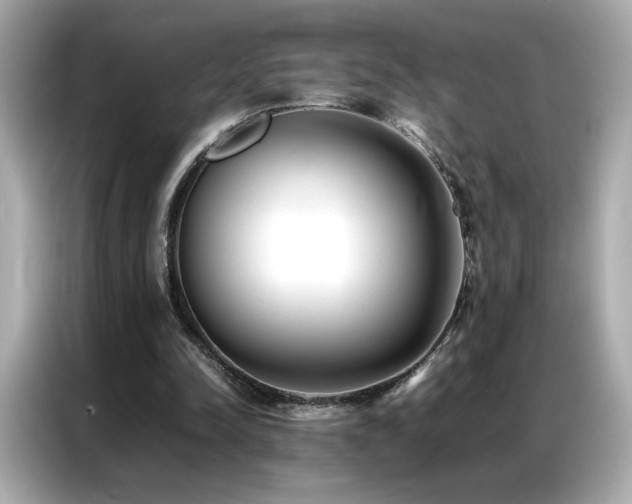 X0000087060342200704181303