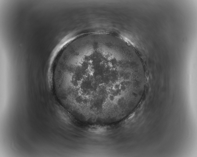 X0000087060343200704181303