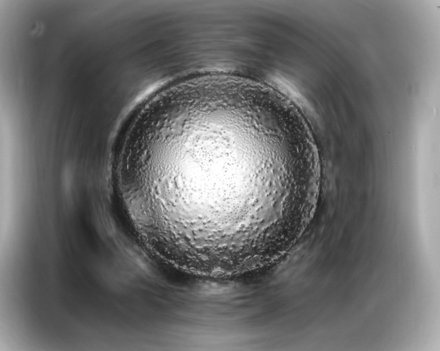 X0000087060346200704181303