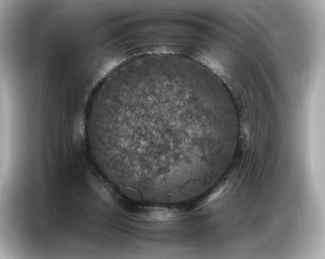 X0000087060347200704181303